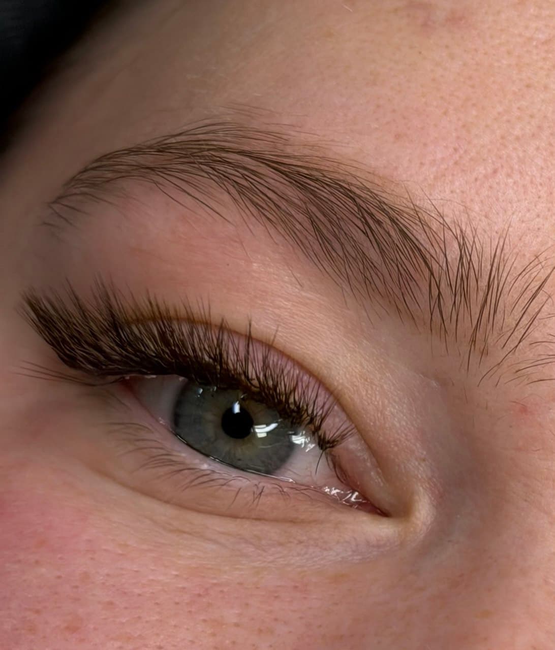 3D Volume L-Curl Fox Eye